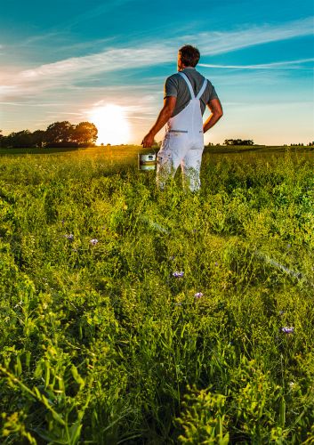 Maler Ruck am Feldrand bei Abendlicht